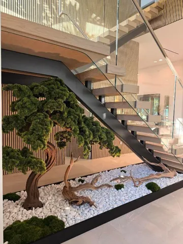 bonsai N1