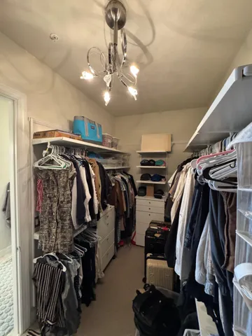 walkin closet with built in system