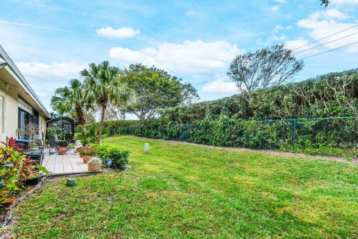 Backyard