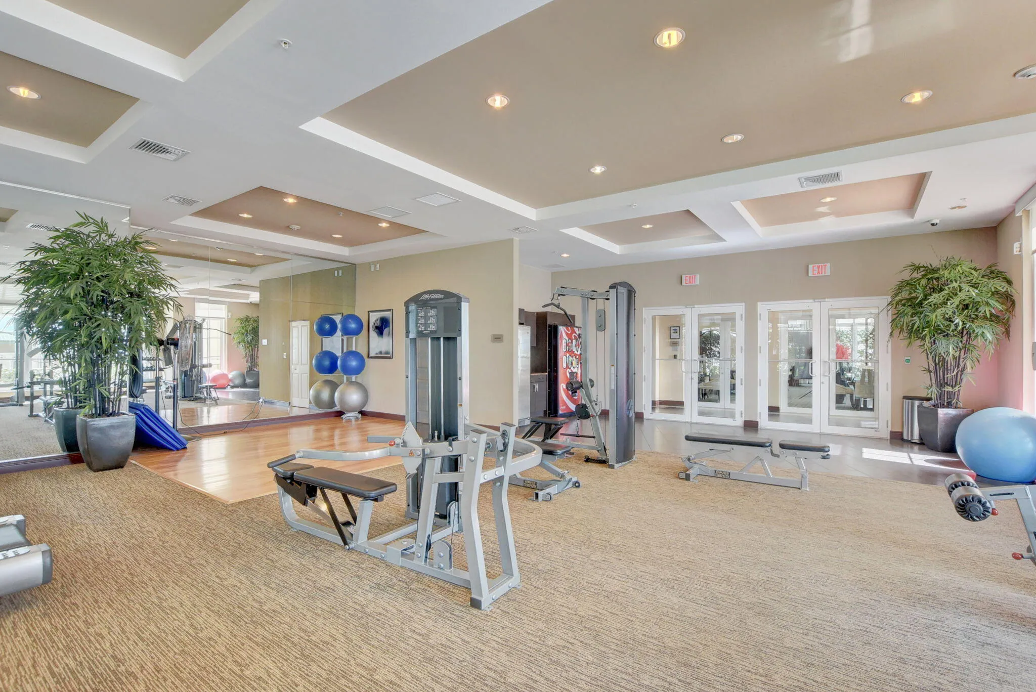 Gym