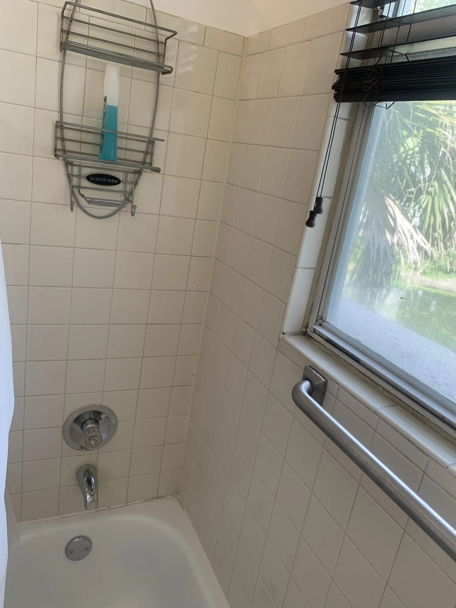 Bathtub and window