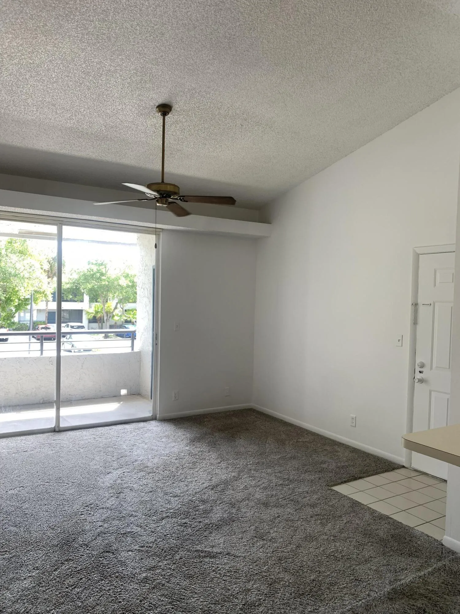 View from dining room facing living room