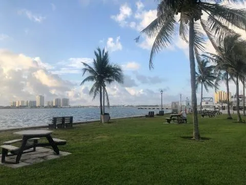 RBCH SINGER ISLAND BRIDGE