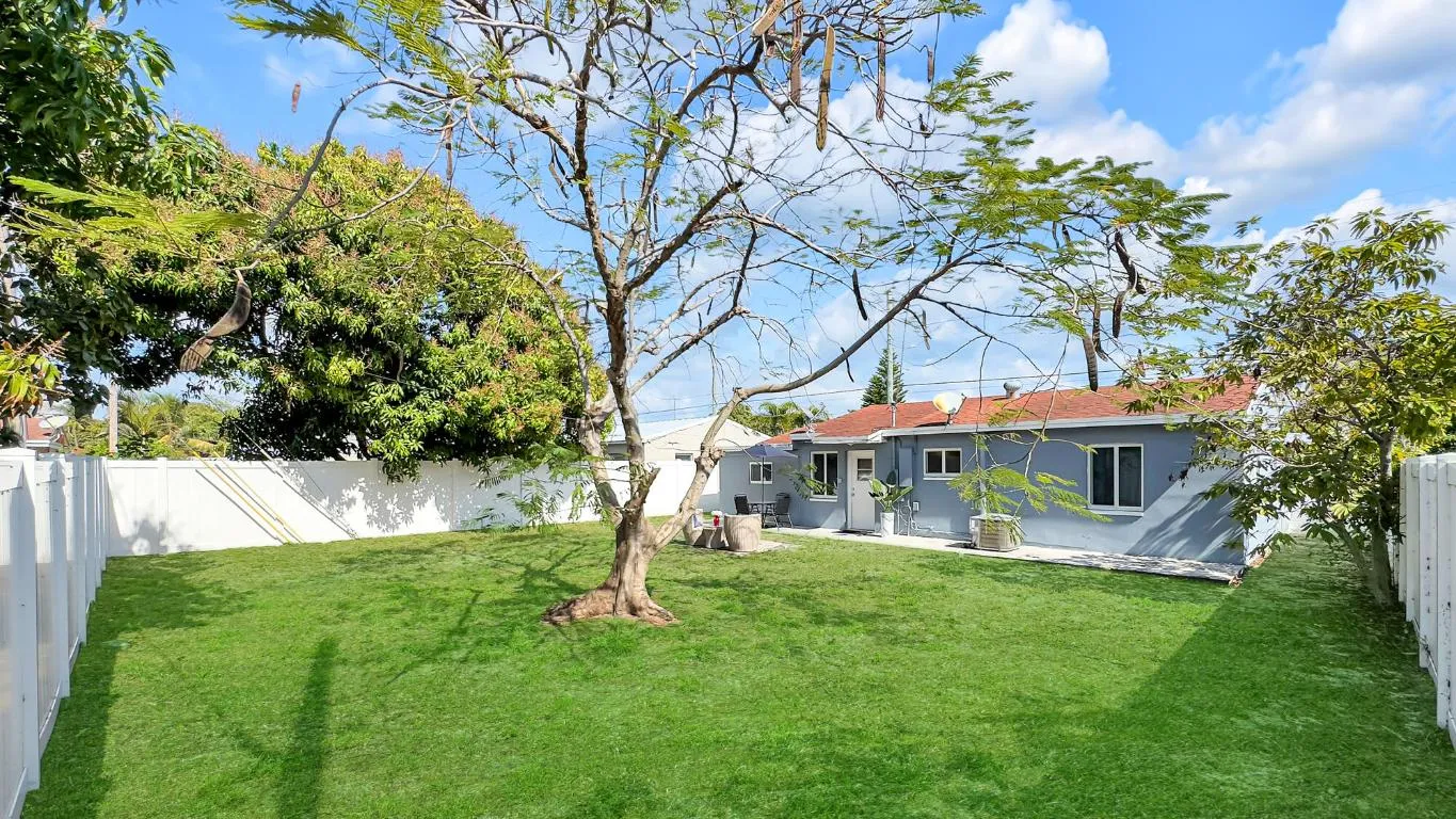 Backyard