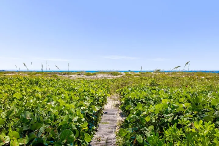 Beach Path 1