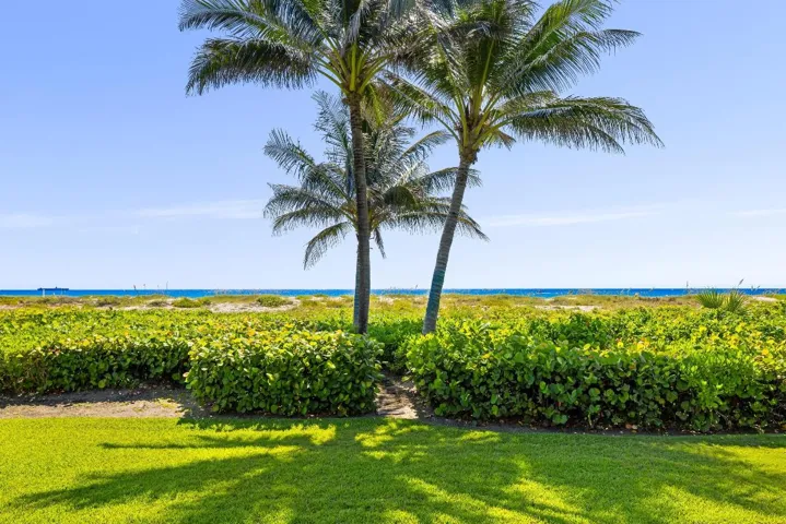 Beach Path 2