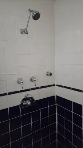Master Shower