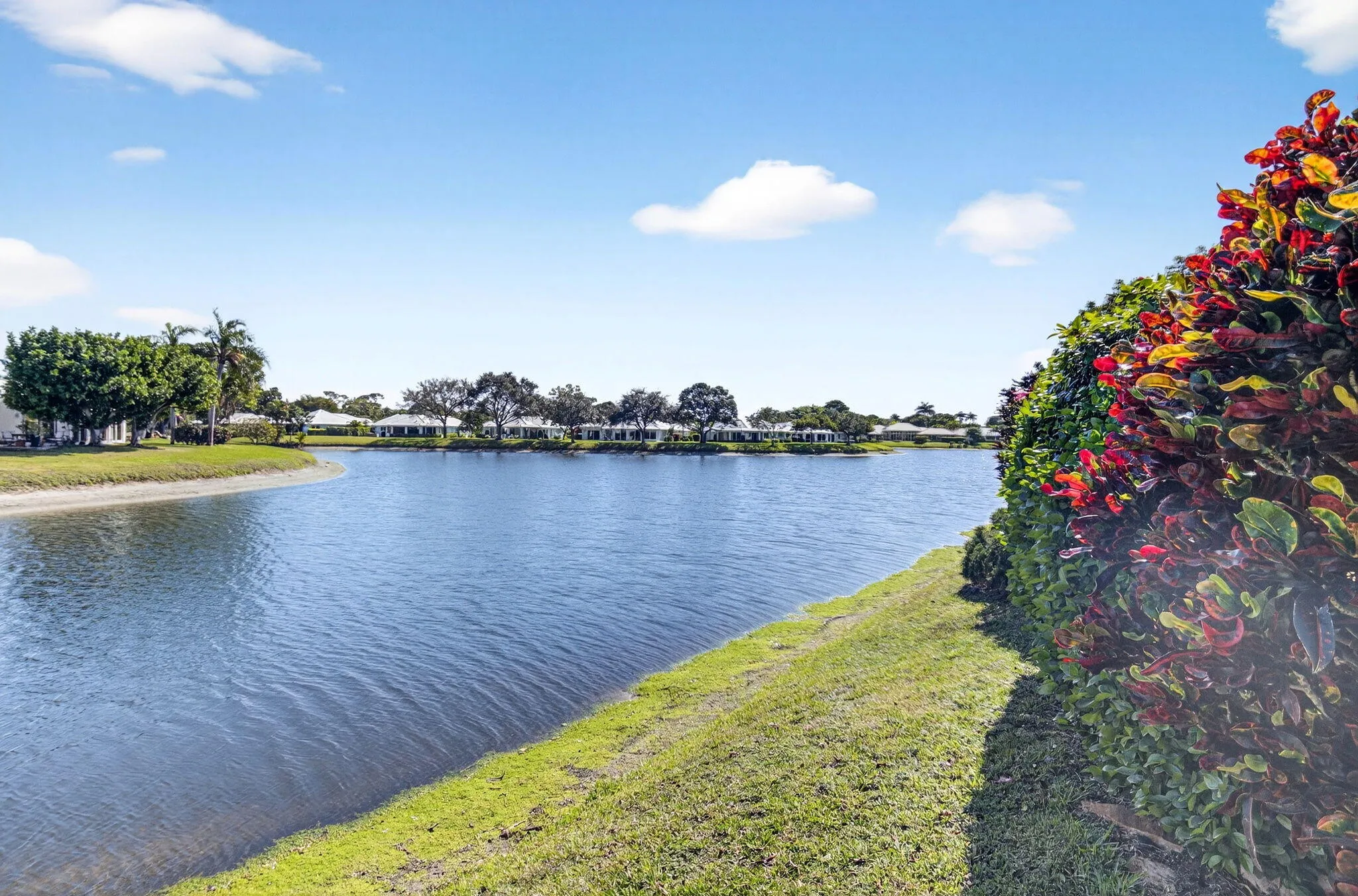 Lake view