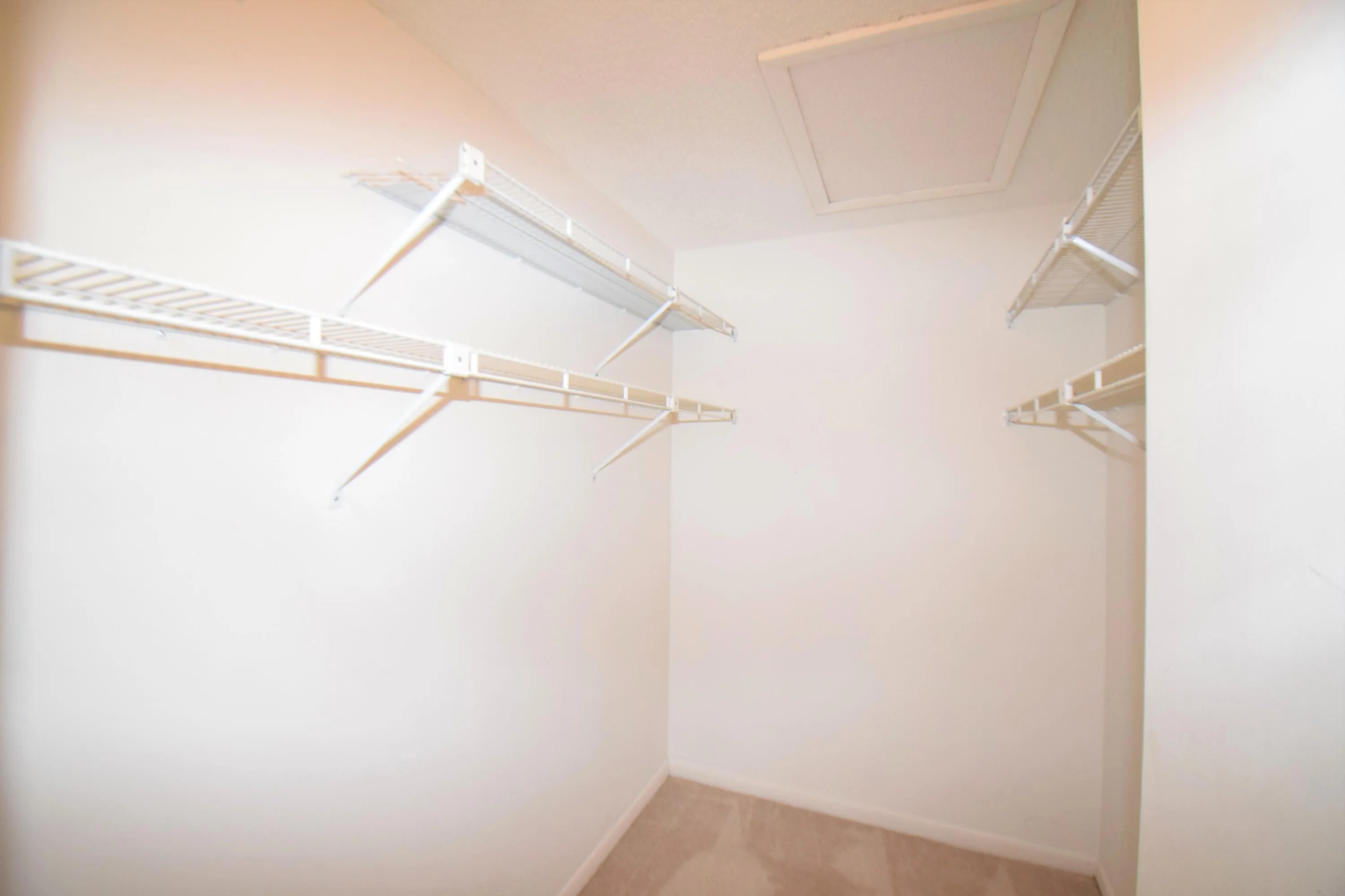 master walk in closet