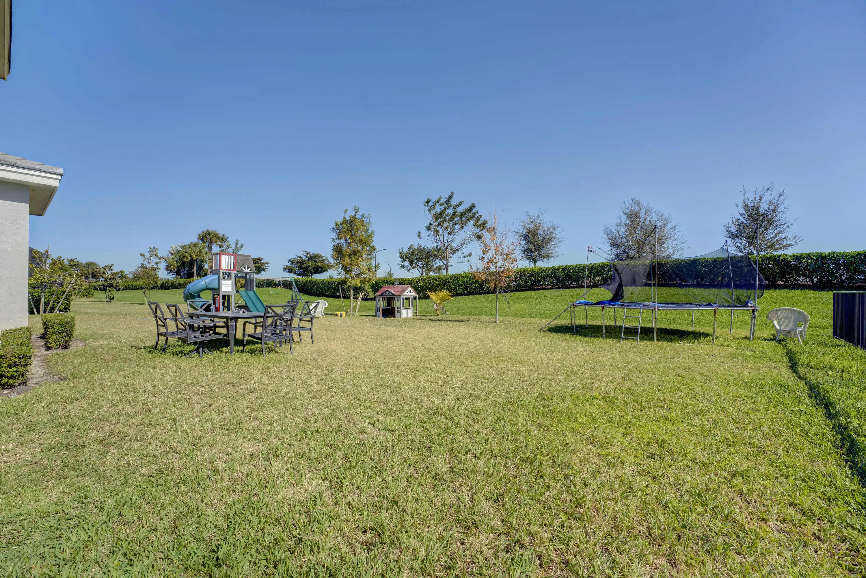 Back yard