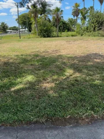LARGE CORNER LOT