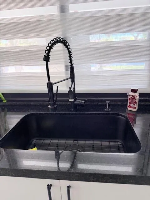 Single-Handle Pull down sprayer coil spring Gooseneck kitchen faucet with undermount single sink.