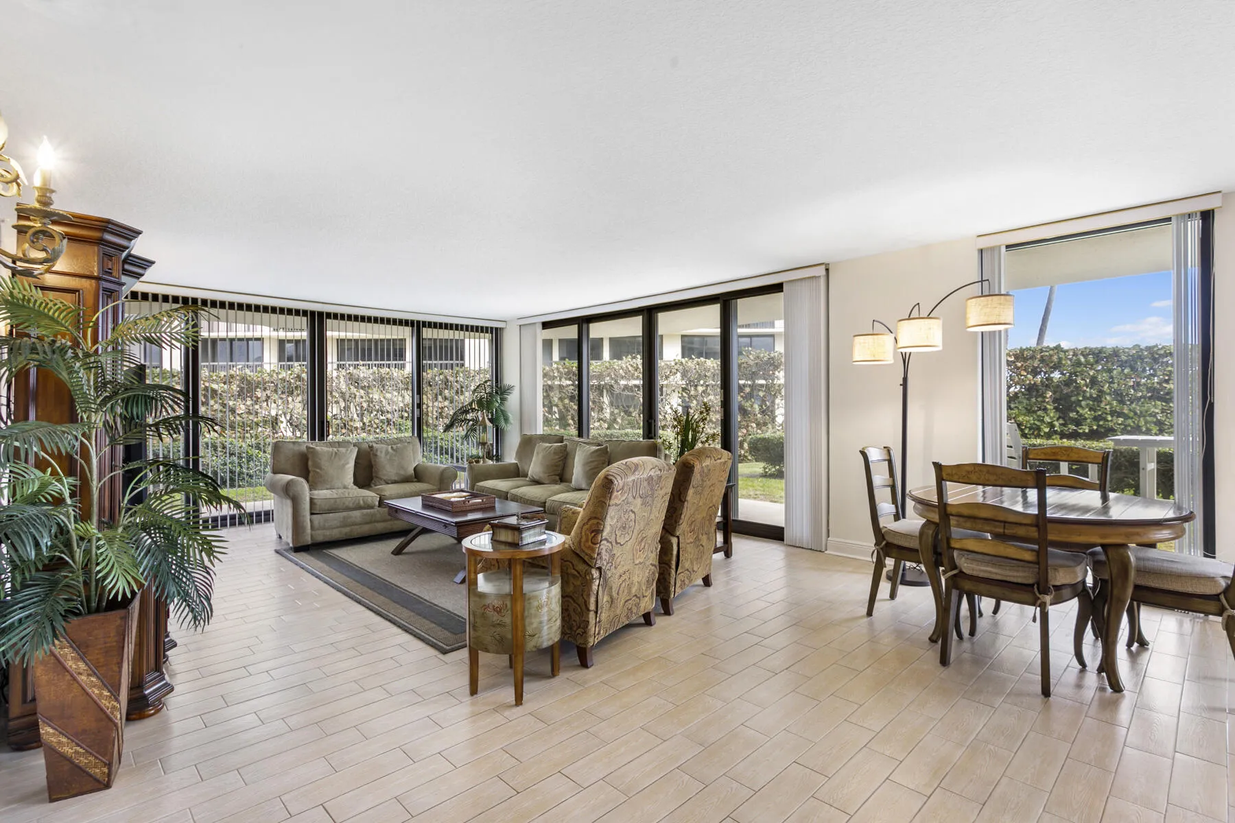 Living Room / Dining Area