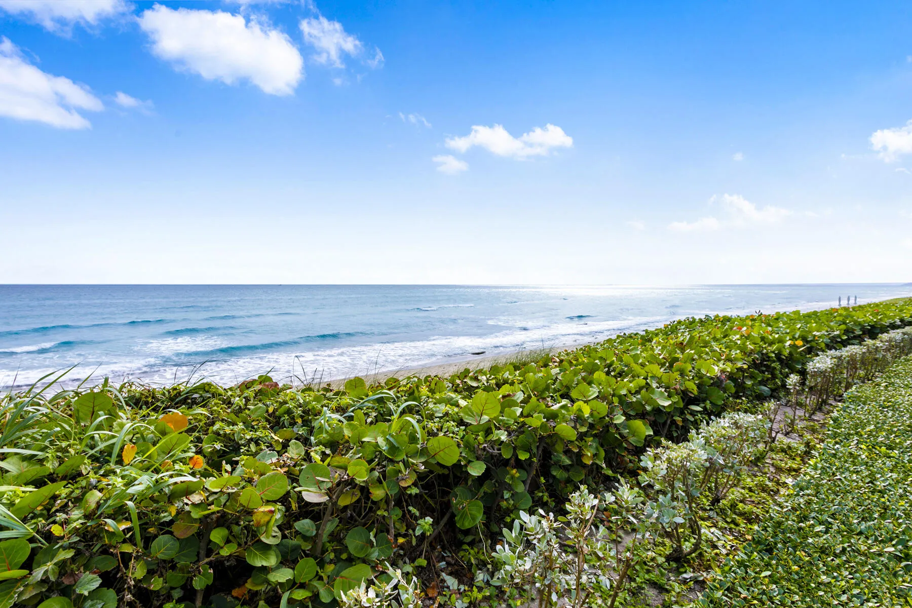 Ocean View from Lanai