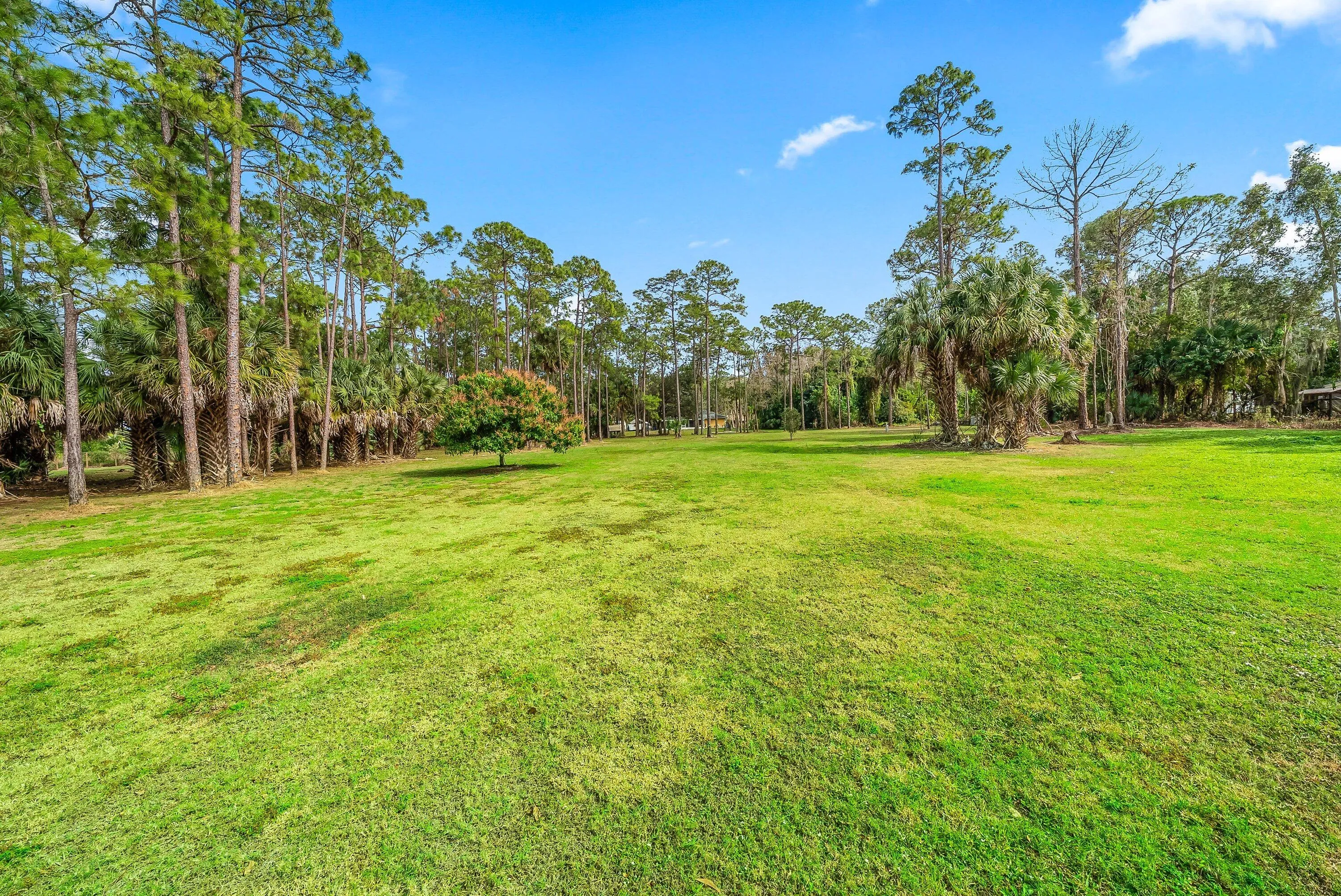032-2195FRoad-LoxahatcheeGroves-FL-33470
