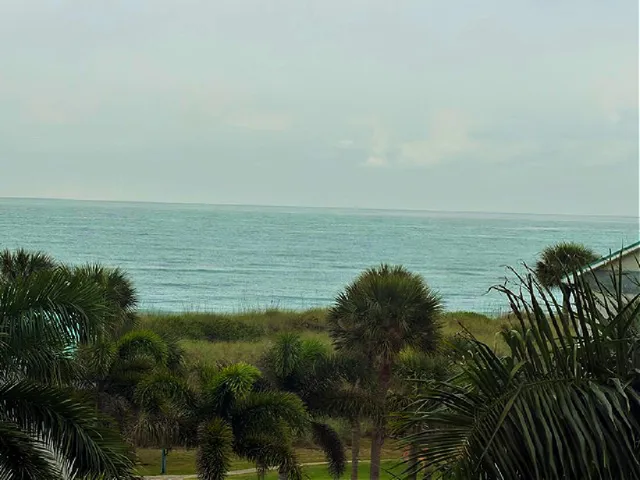 OCEAN VIEWS
