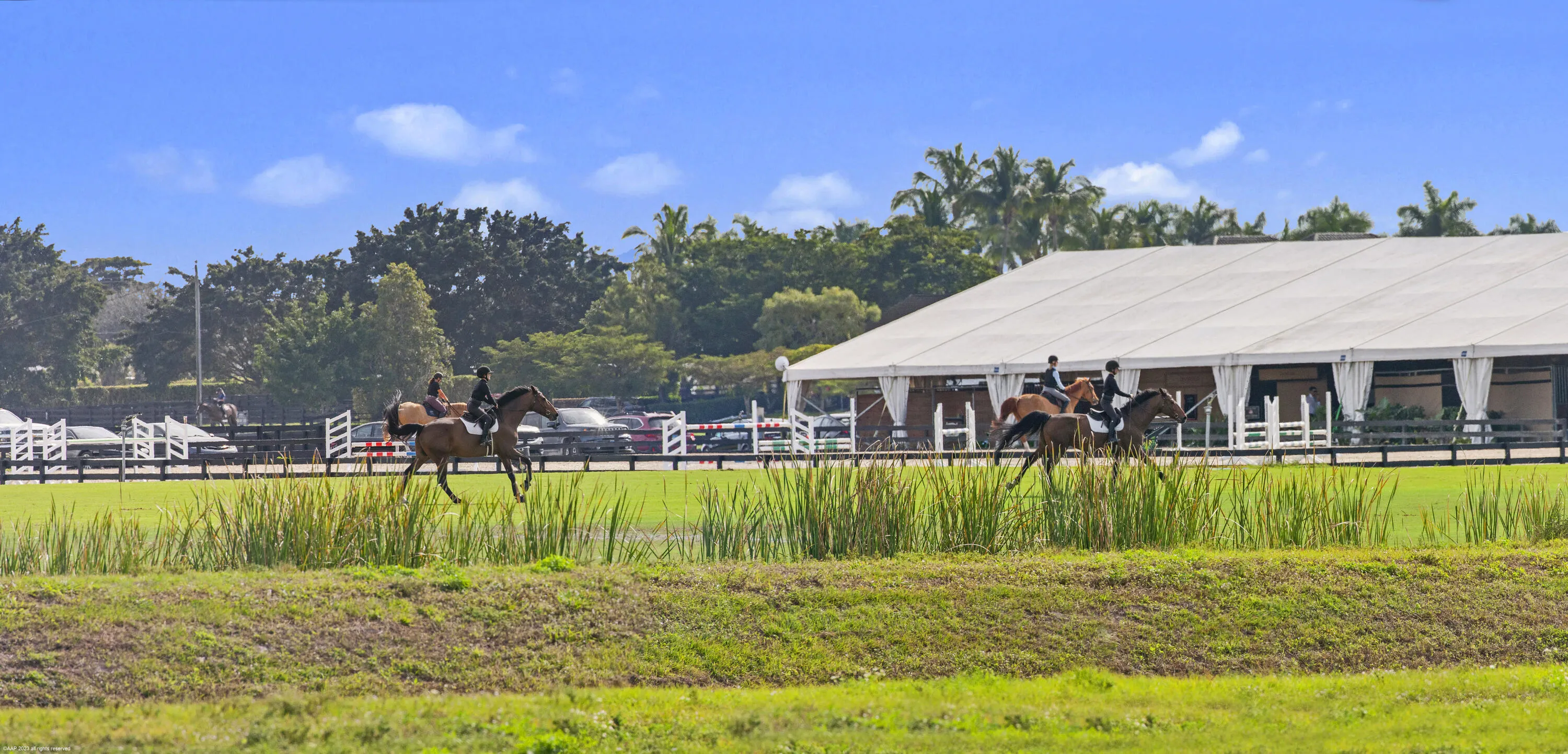 Wellington Equestrian WEF e AAP 2023