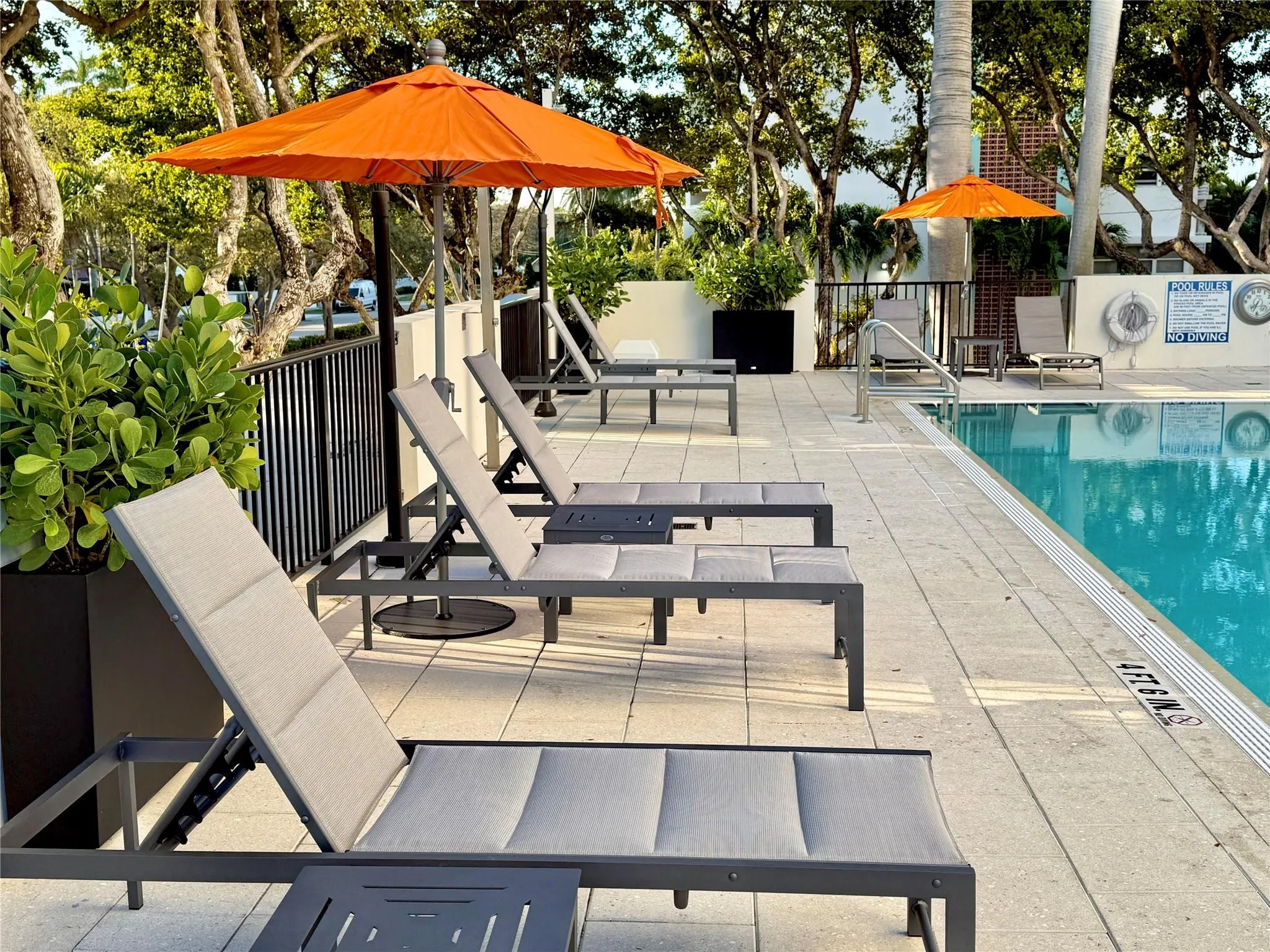 Lush Tropical trees surround the pool deck