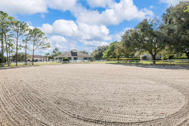 Arena