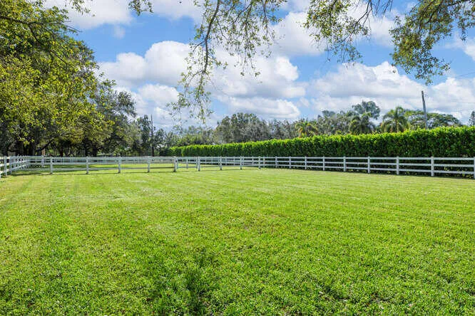 Front paddock