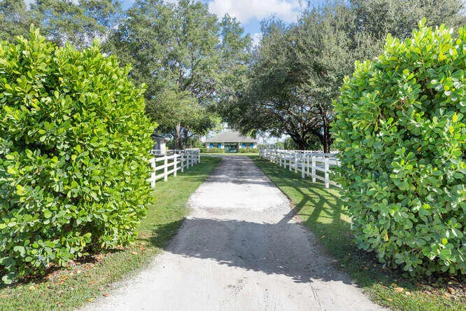 Driveway