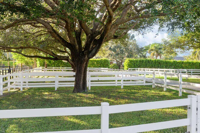 Paddocks