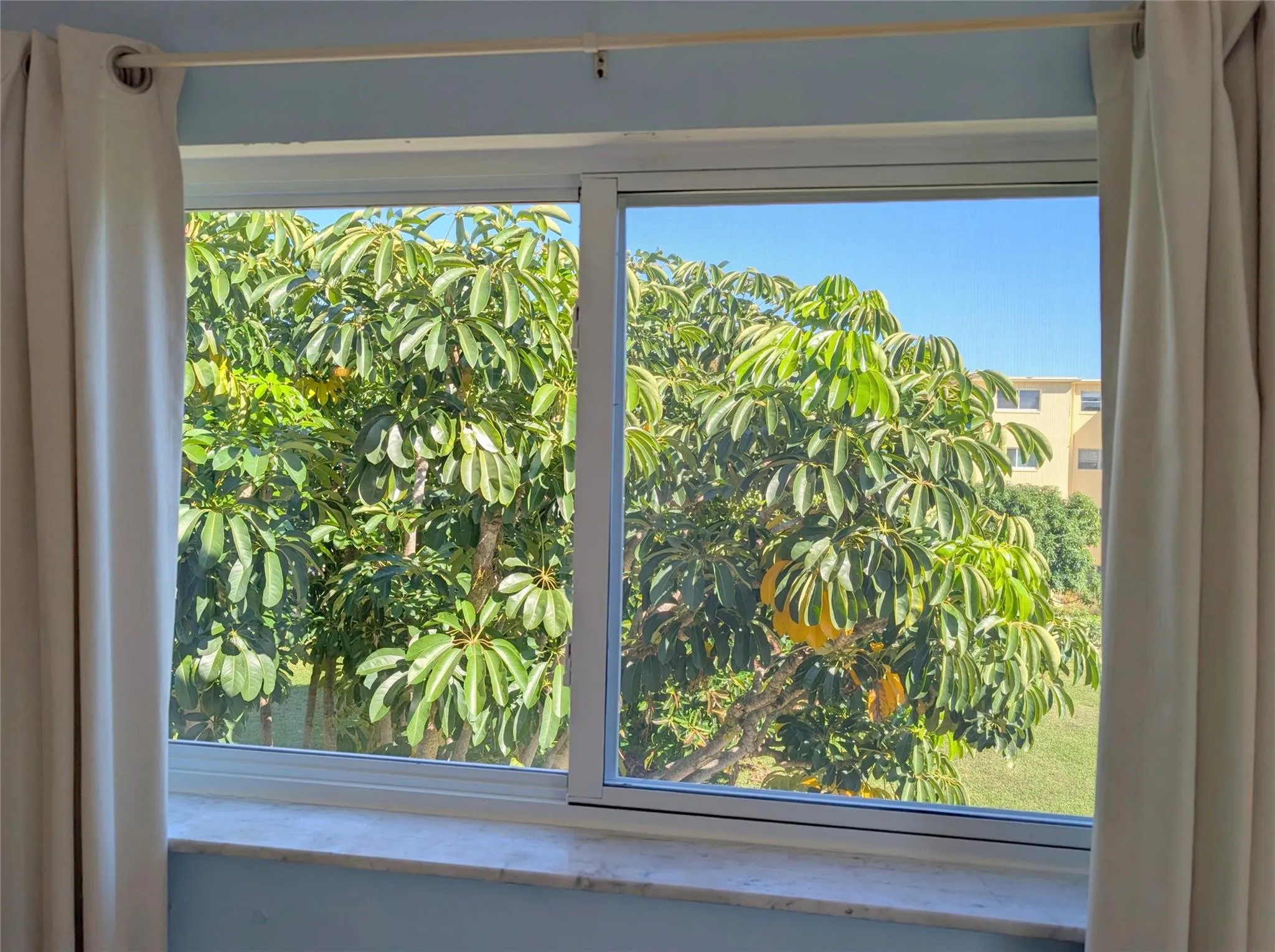 Impact windows in bedrooms