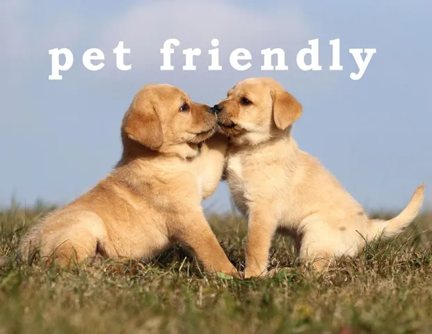 Pet Friendly