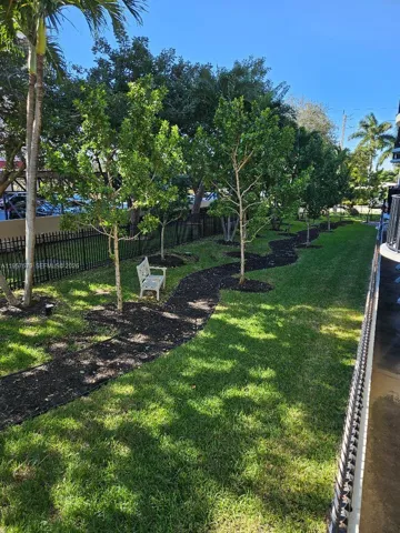 Pet Area