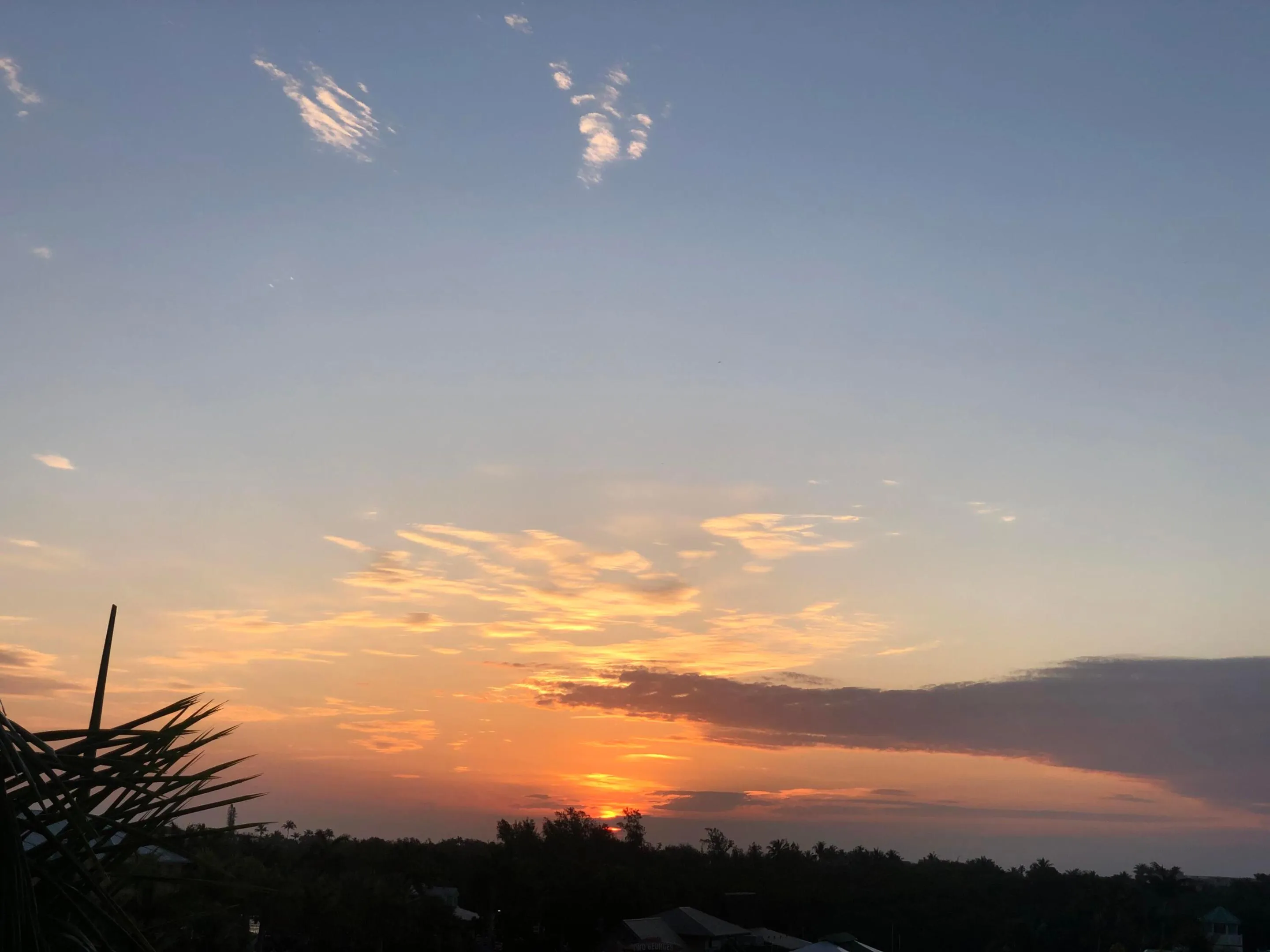 From Balcony