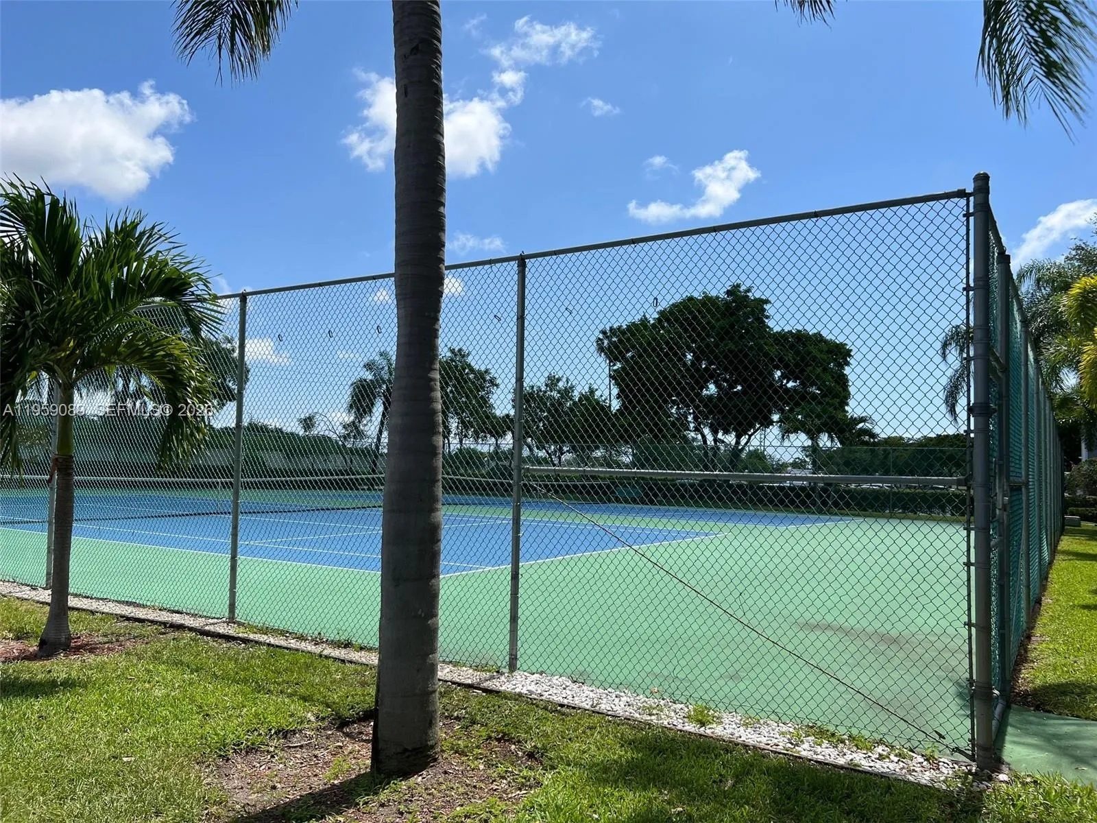 Tennis court