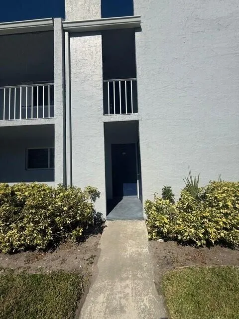 sabal pine6