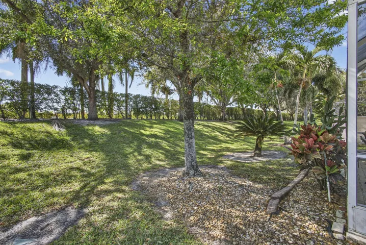 Large backyard