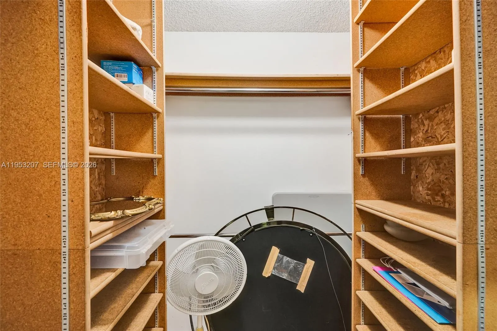Primary Walk-In Closet w/built-ins