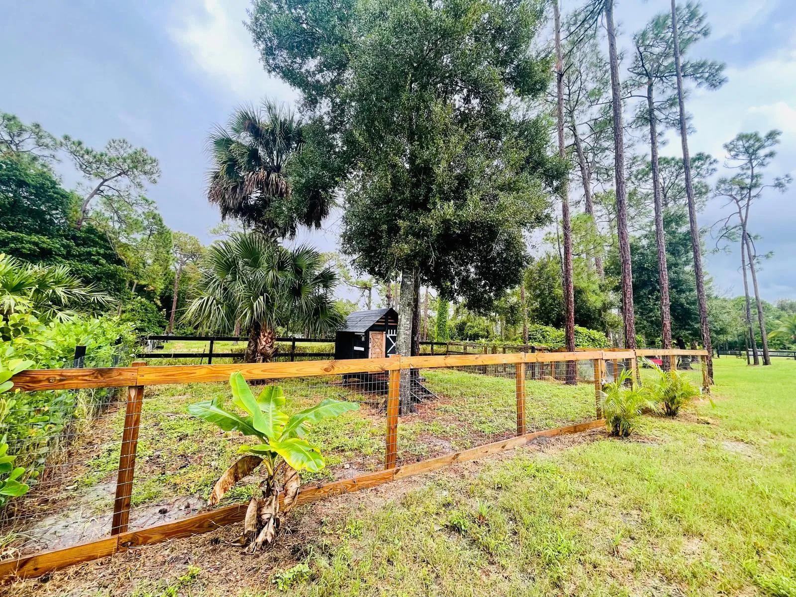 Loxahatchee- 33