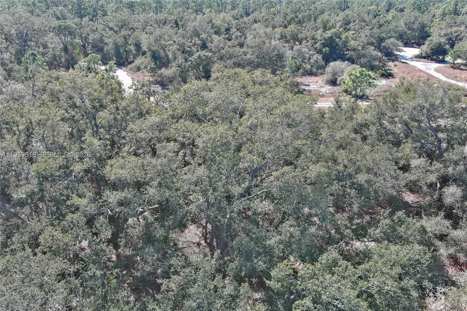 Property photo 41