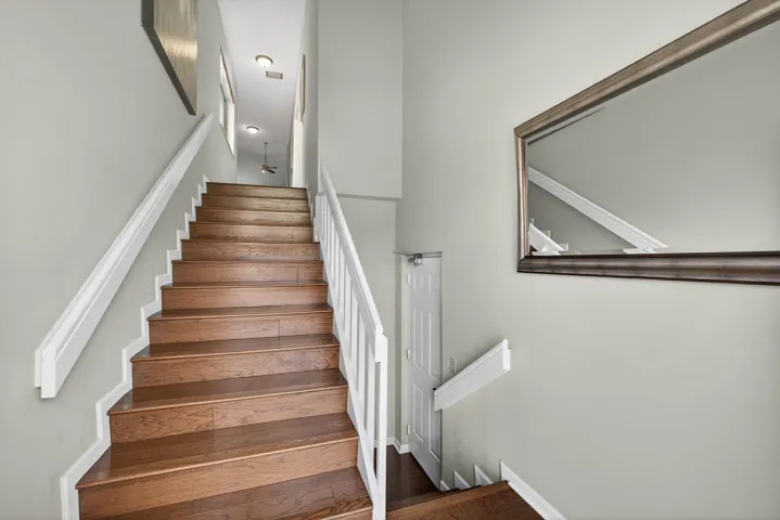 8-web-or-mls-5D1A1288