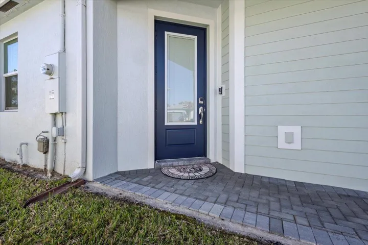 Ring Camera door system