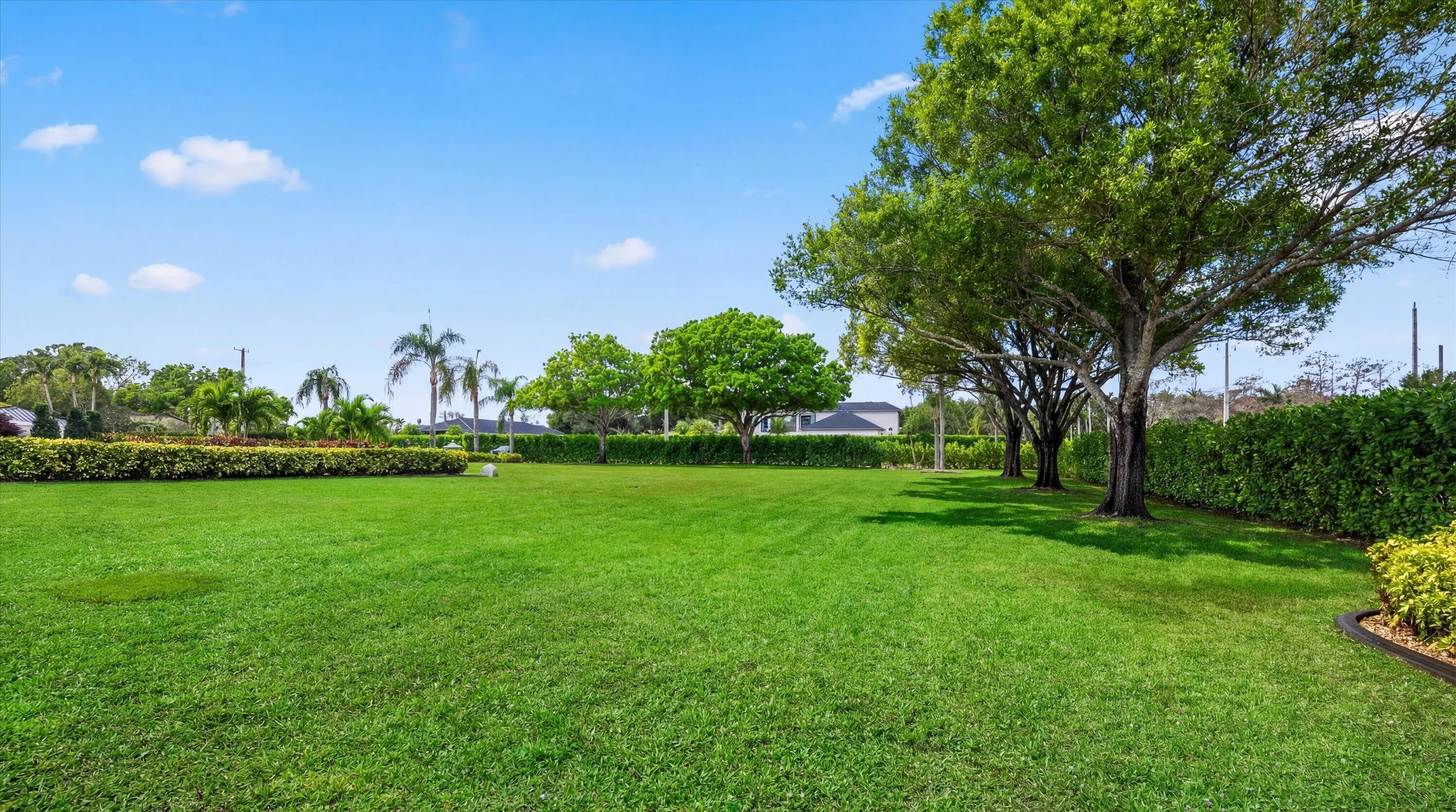 Property photo 62