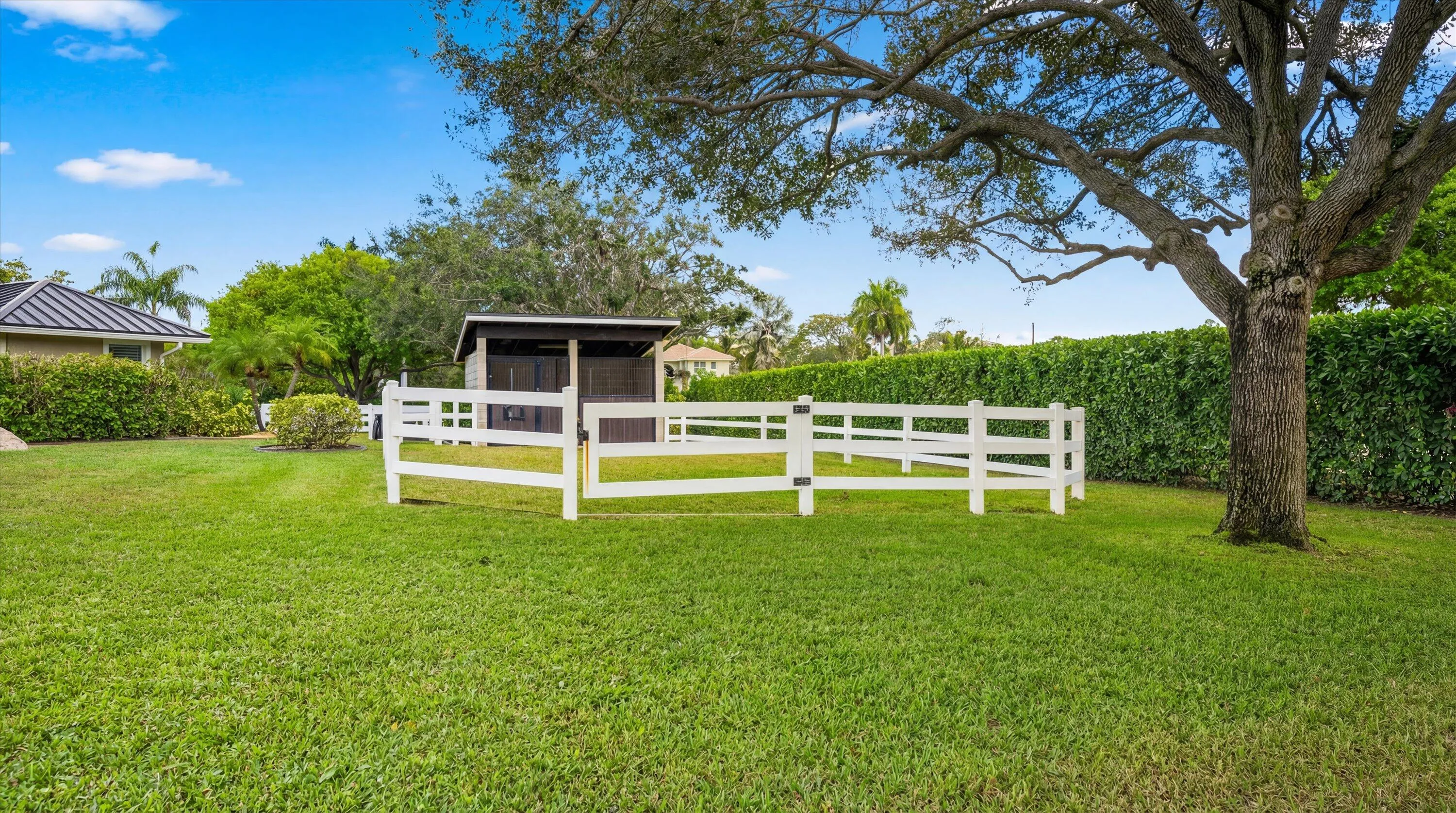 Property photo 64