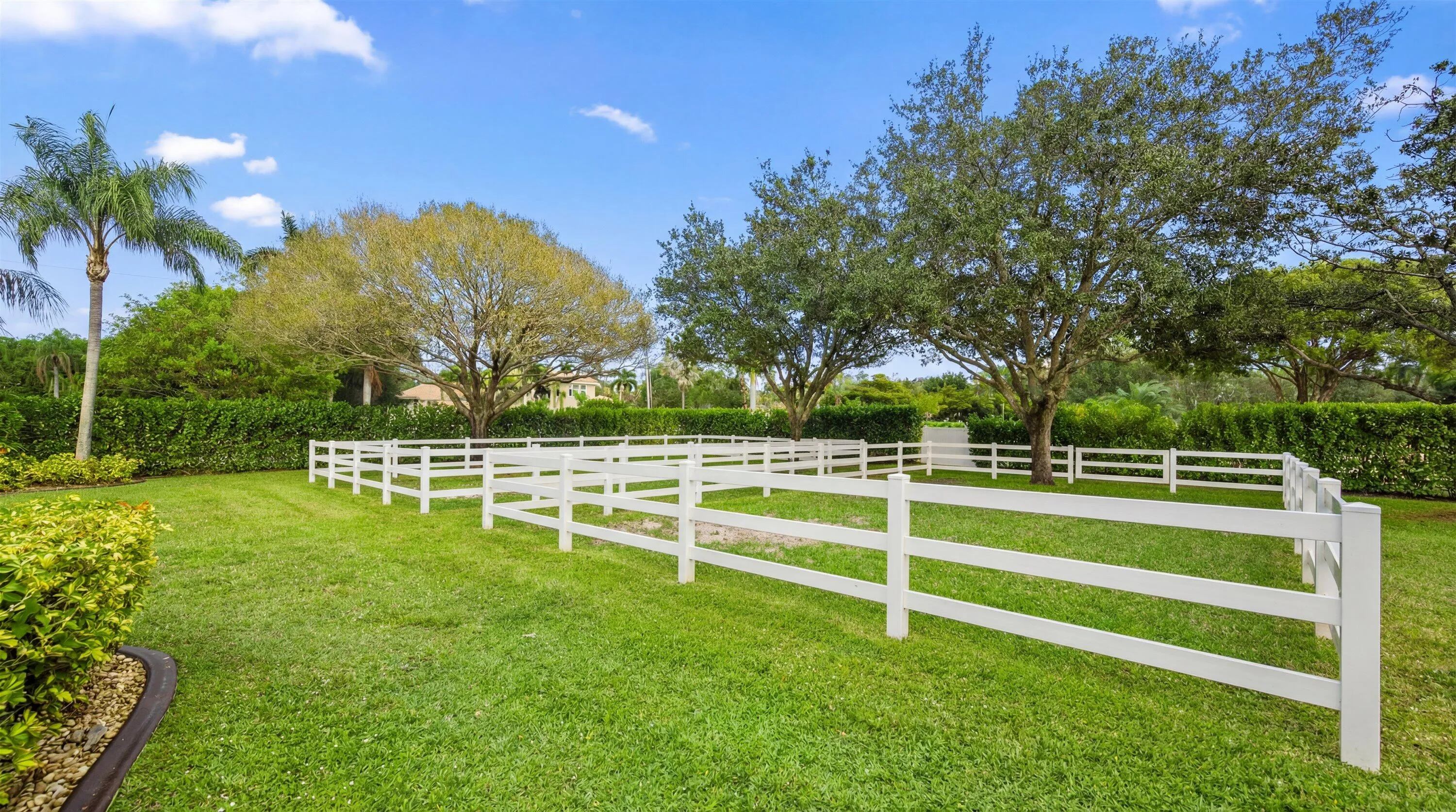 Property photo 65