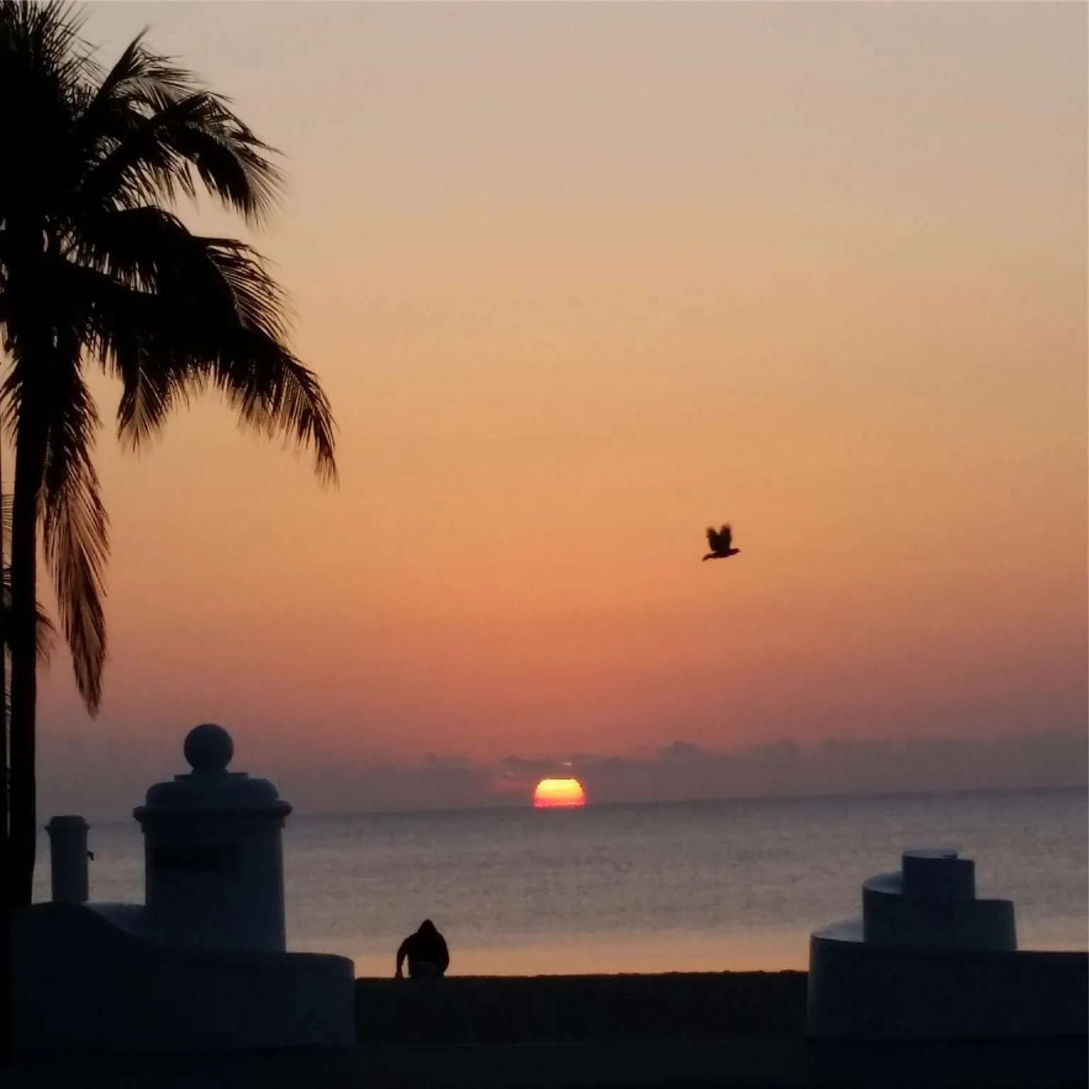 Priceless Fort Lauderdale Sunrise!