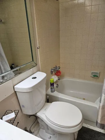 Mst Bathroom 2