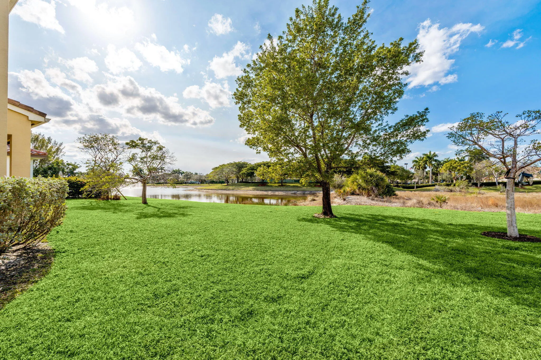 50-web-or-mls-A7404723