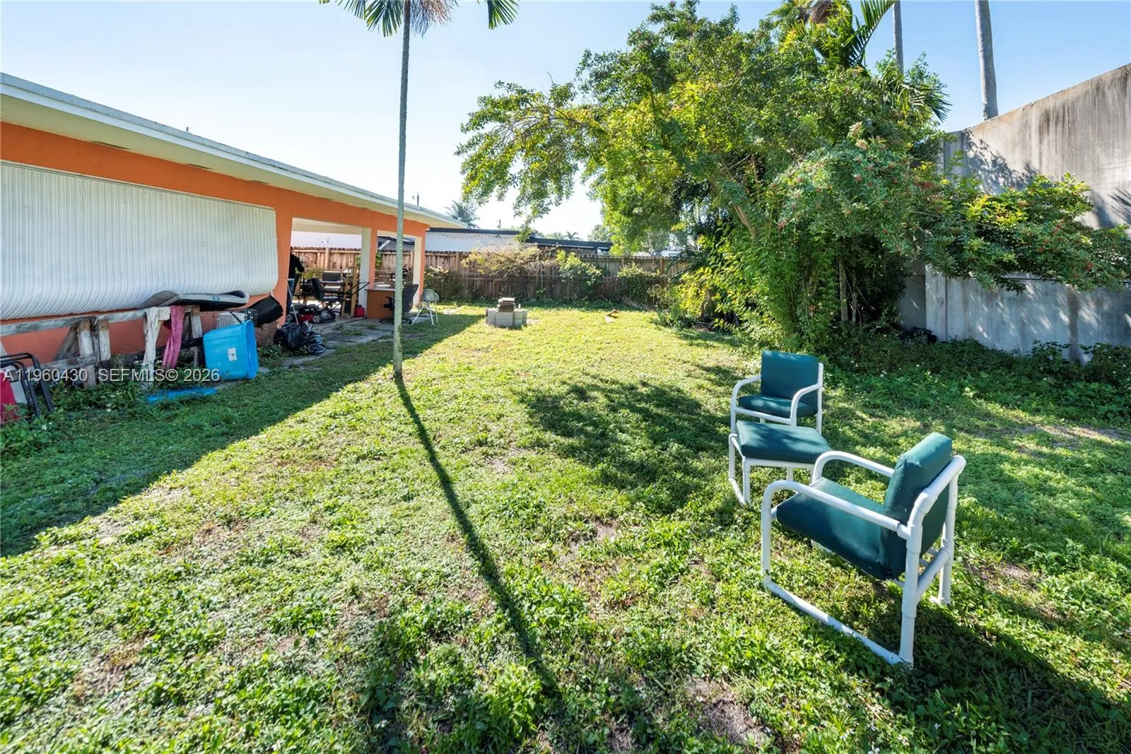 back yard