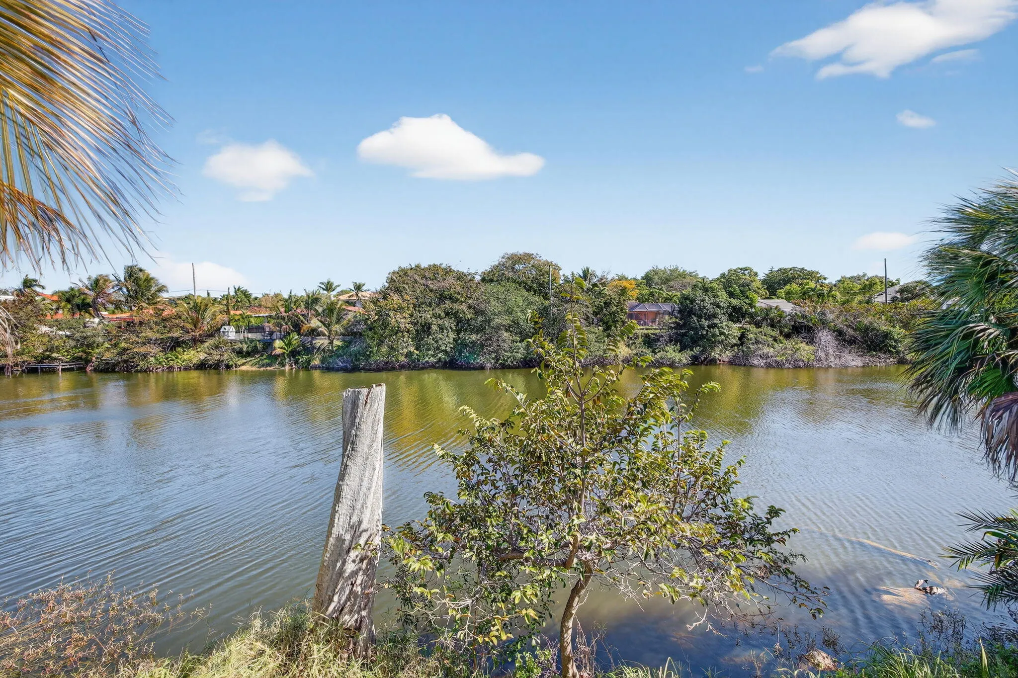 Property photo 73