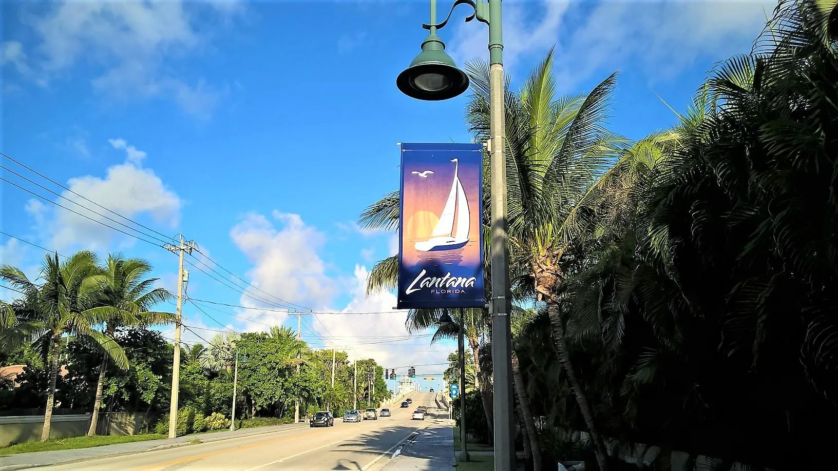 lantana banner 2