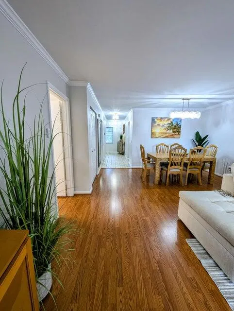 GREAT ENTERTAINING AREA