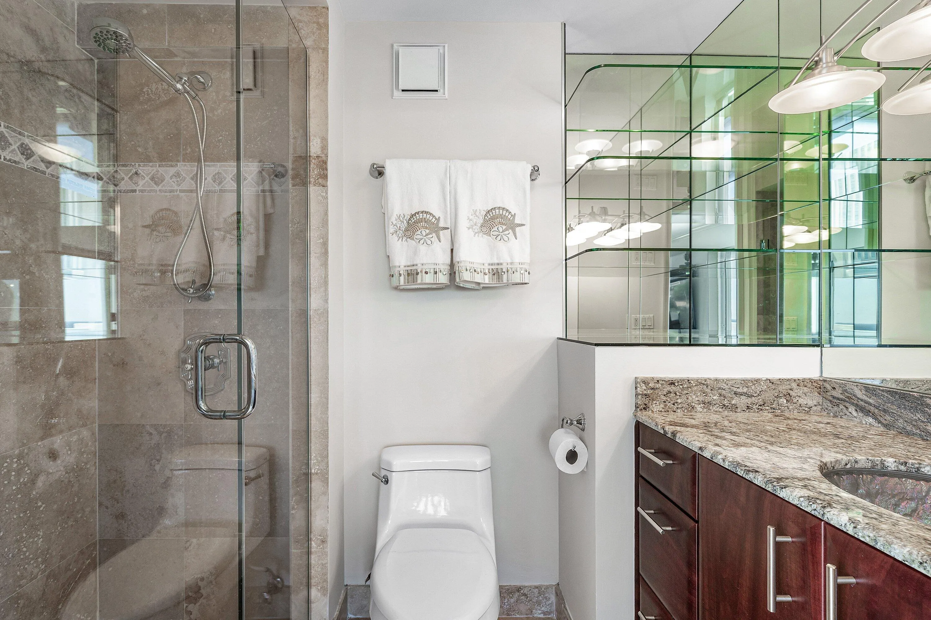 Guest bathroom