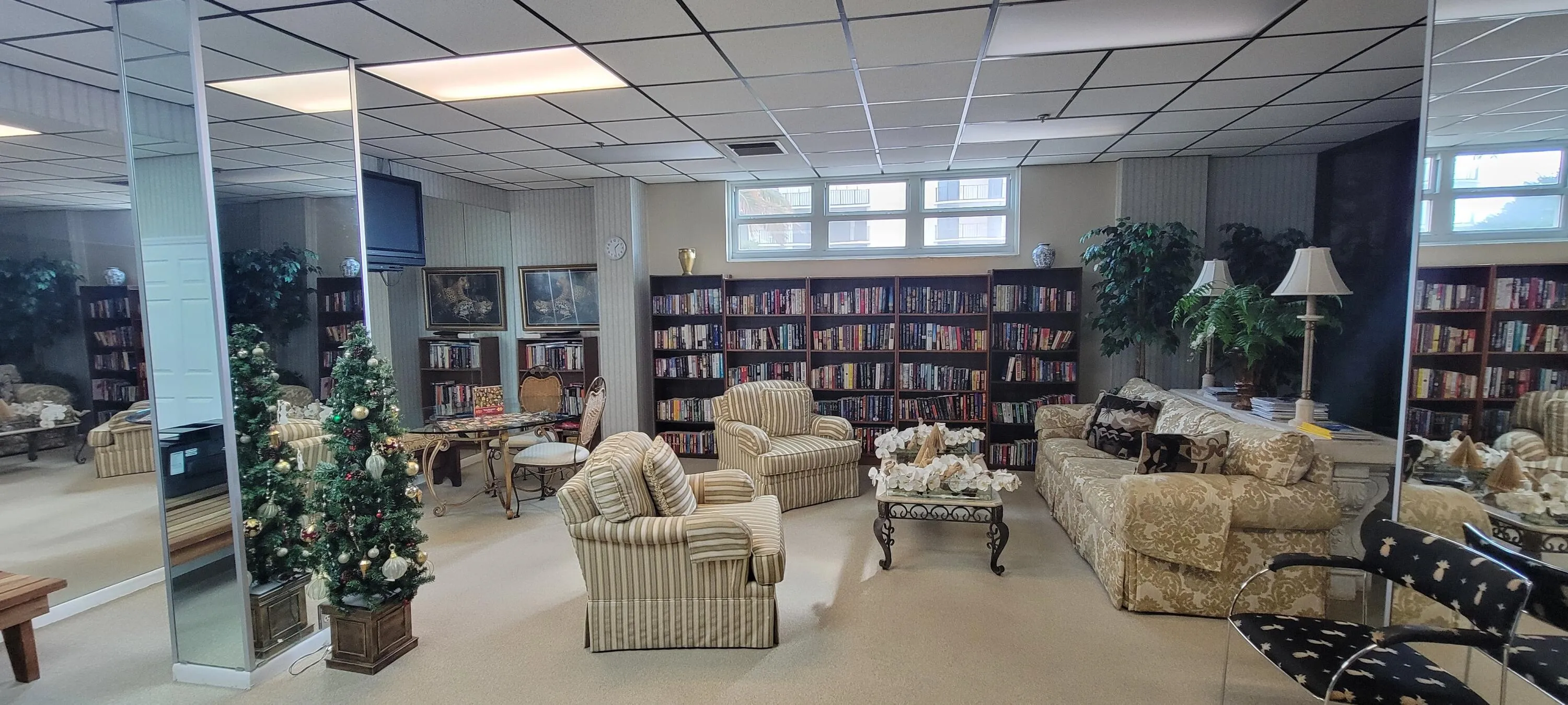 Library